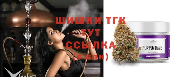 ПСИЛОЦИБИНОВЫЕ ГРИБЫ Горняк