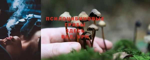 кокаин VHQ Горно-Алтайск