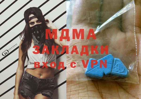 ПСИЛОЦИБИНОВЫЕ ГРИБЫ Горняк