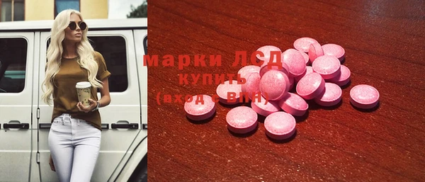 ПСИЛОЦИБИНОВЫЕ ГРИБЫ Горняк