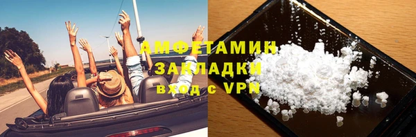 ПСИЛОЦИБИНОВЫЕ ГРИБЫ Горняк