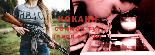 ПСИЛОЦИБИНОВЫЕ ГРИБЫ Горняк