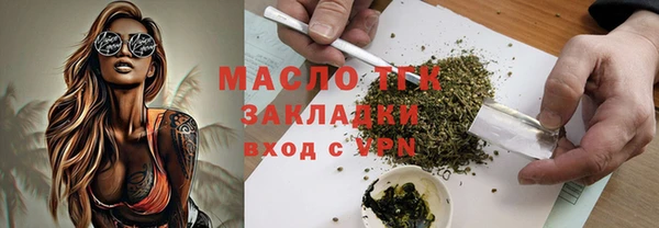 ПСИЛОЦИБИНОВЫЕ ГРИБЫ Горняк