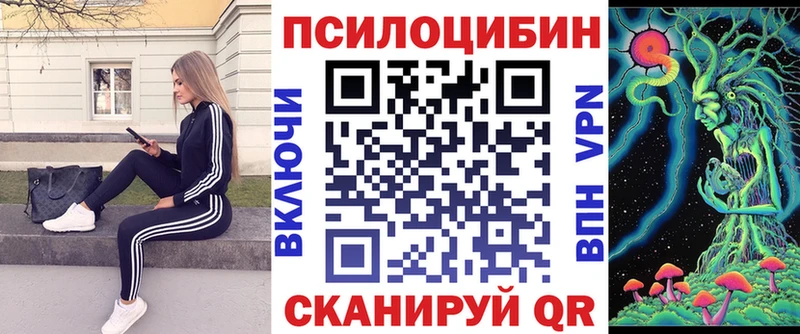 Псилоцибиновые грибы ЛСД  где продают наркотики  Салаир 
